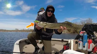 Cold Water Pre-Spawn Spring Pike Fishing! (Open Water!)