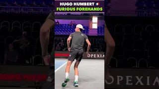 HUGO HUMBERT HUGE WIN VS SHAPOVALOV #tennis #shorts