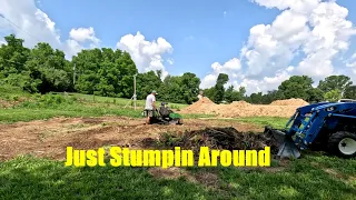 Stump grinding and grading. A clean up story