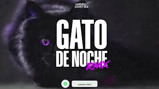 🐱 Gato de Noche (Remix) - Ñengo Flow ✘ Bad Bunny ✘ DJ Mannu Cortez 🐱