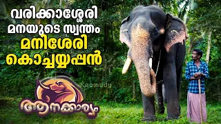 EP 06 | മനിശ്ശേരി കൊച്ചയ്യപ്പൻ | Manissery Kochayyappan | Aanakkaryam | The Untold Elephant Stories