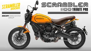 Scrambler 1100 Tribute Pro | Ducati Manchester UK