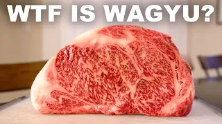 The history, science and taste of Wagyu beef