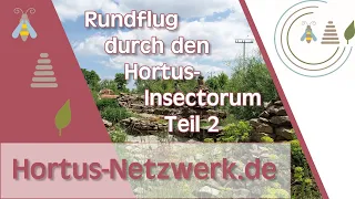 Hortus-Netzwerk - Rundflug durch den Hortus-Insectorum Teil 2