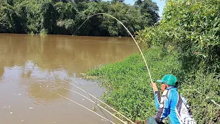Inacreditável só os maiores apareceu hoje Pescaria caipira nas corredeiras Rio turvo