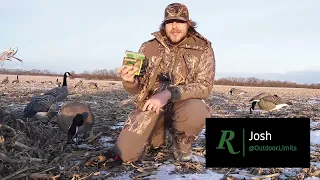 What ammo should I use for waterfowl hunting?