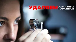 ПОТРИ-ТРИ-ТРИ. Научись удалять паразитов с бруска быстро и просто.