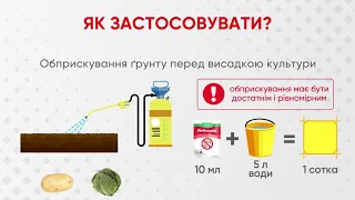 Як застосовувати протруйник Антихрущ®?