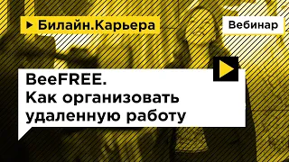 Вебинар BeeFREE. Как организовать удаленную работу