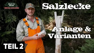 Salzlecke Anlage & Varianten | Teil 2 | Wildhege | Back to Hunt