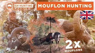 Sheep hunting in Spain! The mighty Mouflon