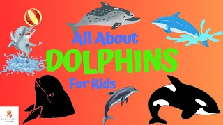 Discover the Different Types of Dolphins!