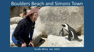 Boulders Beach: African penguins.  Simons Town: baboons, hyraxes, and more penguins. 2023 HD