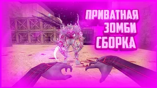 ОБЗОР ЗОМБИ СБОРКИ | ПРИВАТНАЯ СБОРКА | СЛИВ ЗОМБИ СБОРКИ | Counter-Strike 1.6