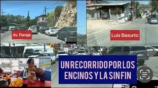 UN RECORRIDO POR LOS ENCINOS Y LA SIN FIN NOGALES SONORA.