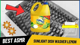 SUNLIGHT DISHWASHER LEMON vs Shredder machine
