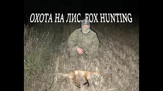 Охота на лис. Добыл две лисицы. Fox hunting. Fox control.