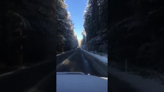 La primera nevada en MAPLE FALLS Washington