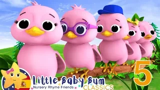 Canciones Infantiles | Cinco Pajaritos | Dibujos Animados | Little Baby Bum en Español