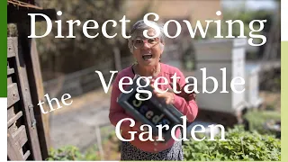 Direct Sowing the Vegetable Garden