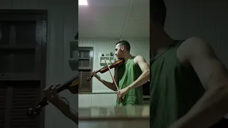violino 🎻