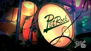 PetRock performing "I'm Not In Love" by 10cc