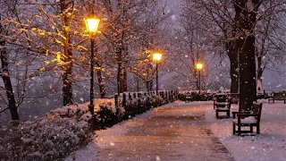 Snowfall in the Street Night with Relaxing Bossa Nova Jazz Music for Studying, Working and Sleeping