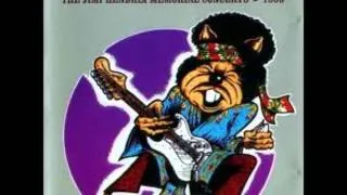 The Hamsters - Third Stone From The Sun (Jimi Hendrix cover)