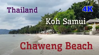 Exploring Koh Samui's Hidden Gems: A Walking Tour of Chaweng Beach.#kohsamui  #chawengbeach