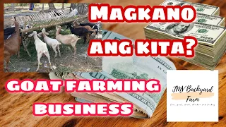 Magkano ang kita sa kambing | Bawi ang puhunan in 1 year | Goat Farming Business | JMV Backyard Farm