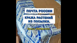 Кража растений из посылки. Почта России опускается ниже и ниже!