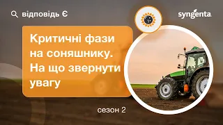 ВідповідьЄ. Критичні фази на соняшнику. На що слід звернути увагу.