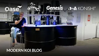 Modern Koi Blog #5966 - Gibt es eine biogene Entkalkung im Filter