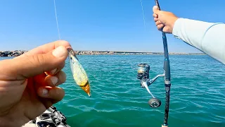 'Slow Pitch' Jigging & Micro Jigging With Lures From Japan!
