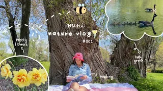 vlog: a peaceful spring day in nature 🌱