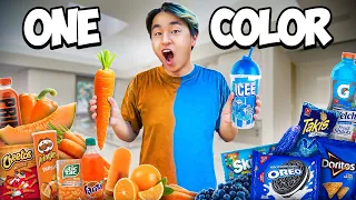 Eating Only ONE Color of Food for 24 Hours (Orange Vs Blue)