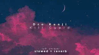 Dro Kenji - Kill Cupid ft. $NOT ( slowed and reverbed )