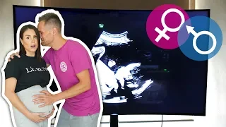 Finding out the gender of our baby! | Family Fizz