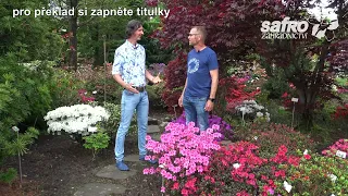 Zahradnictví SAFRO® - Rododendrony - návštěva u H. Hachmanna (ENG subtitles)