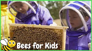 All About BEES for Kids : Bee Facts and Information for Children