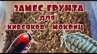 Грунт для кивсяков и мокриц 🐛 Трухлявим трухляшку😜