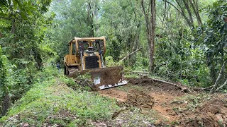 Caterpillar Bulldozer D6R XL Road Repair and Repair Banana plantation residents