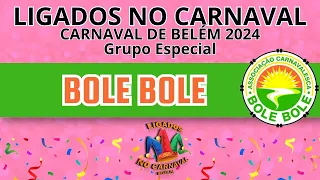 LIGADOS NO CARNAVAL  - BOLE BOLE 2024.