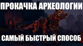 ESO: Прокачка археологии за 5 часов.