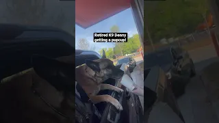 Retired Police K9 Drive-Thru Sevice!