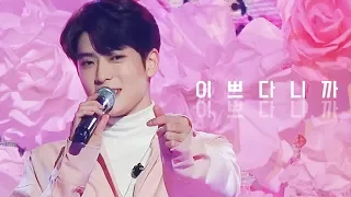 181228 가요대축제 '이쁘다니까' (재현 JAEHYUN focus)