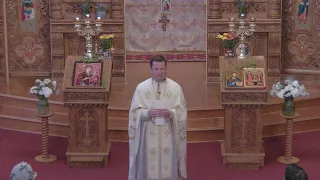 Descent of the Holy Spirit Romanian Orthodox Church Live Stream