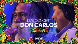 Don Carlos' Iconic Performance In Reggae Rotterdam Festival, Featuring Surprise Proposal