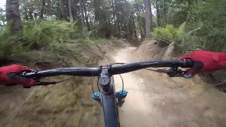 Air Ya Garn' MTB Trail in Blue Derby, Tasmania