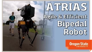 ATRIAS: An Agile and Efficient Bipedal Robot